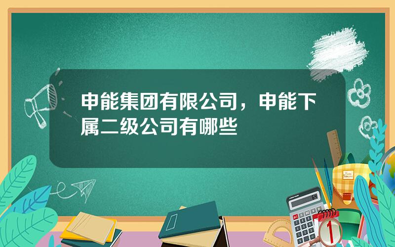 申能集团有限公司，申能下属二级公司有哪些
