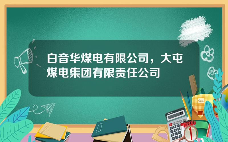 白音华煤电有限公司，大屯煤电集团有限责任公司
