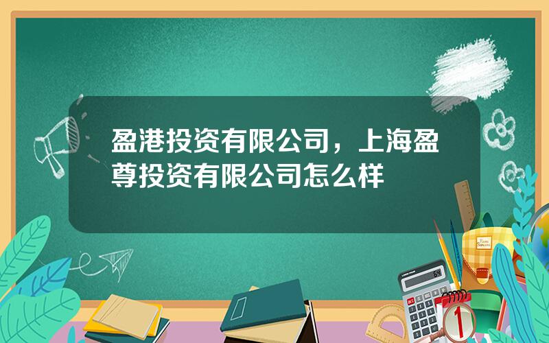 盈港投资有限公司，上海盈尊投资有限公司怎么样
