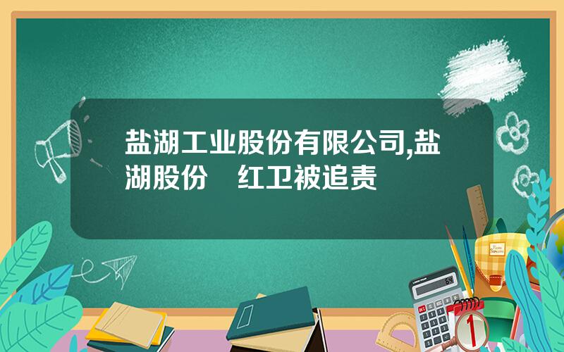 盐湖工业股份有限公司,盐湖股份贠红卫被追责