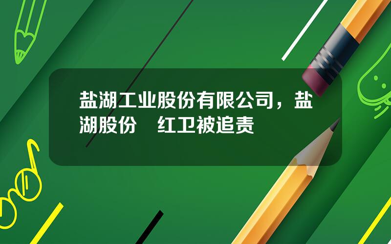 盐湖工业股份有限公司，盐湖股份贠红卫被追责