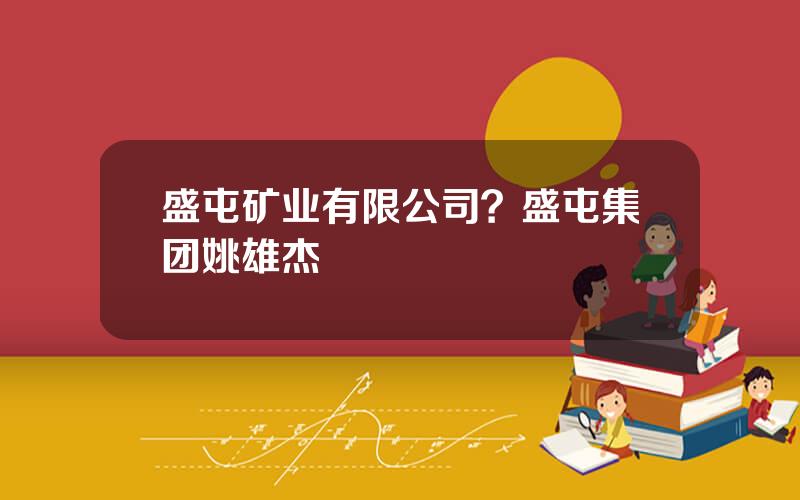 盛屯矿业有限公司？盛屯集团姚雄杰
