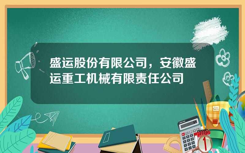 盛运股份有限公司，安徽盛运重工机械有限责任公司