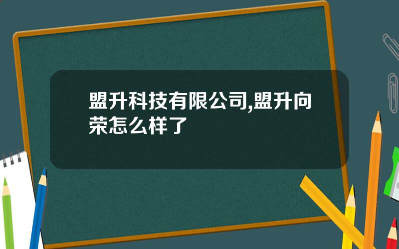 盟升科技有限公司,盟升向荣怎么样了