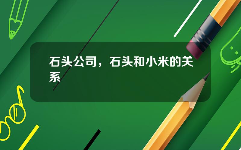 石头公司，石头和小米的关系
