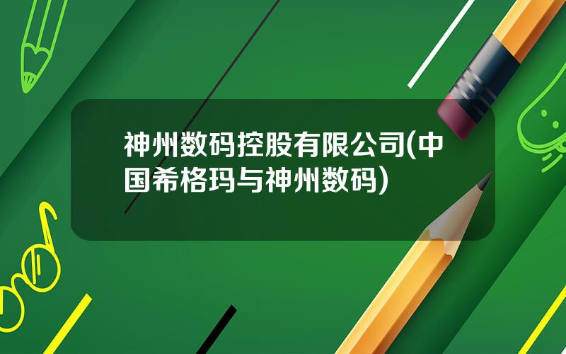神州数码控股有限公司(中国希格玛与神州数码)