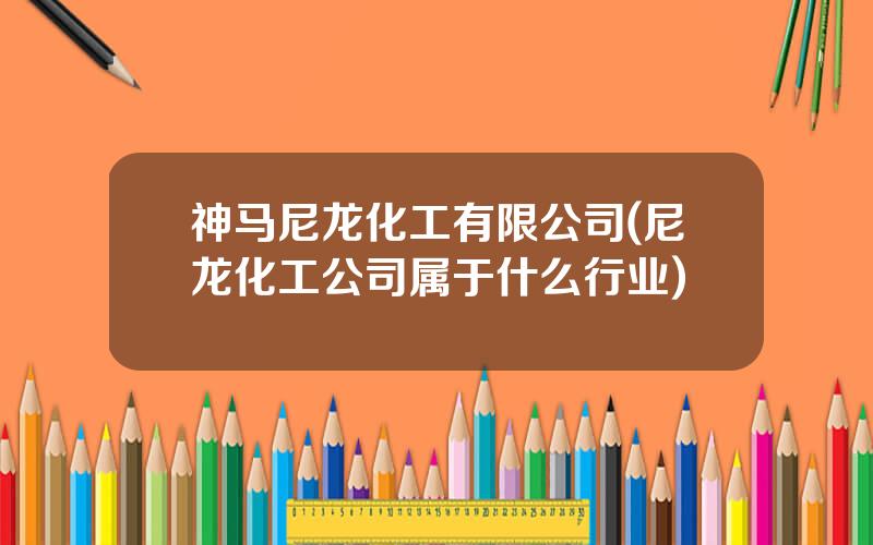 神马尼龙化工有限公司(尼龙化工公司属于什么行业)