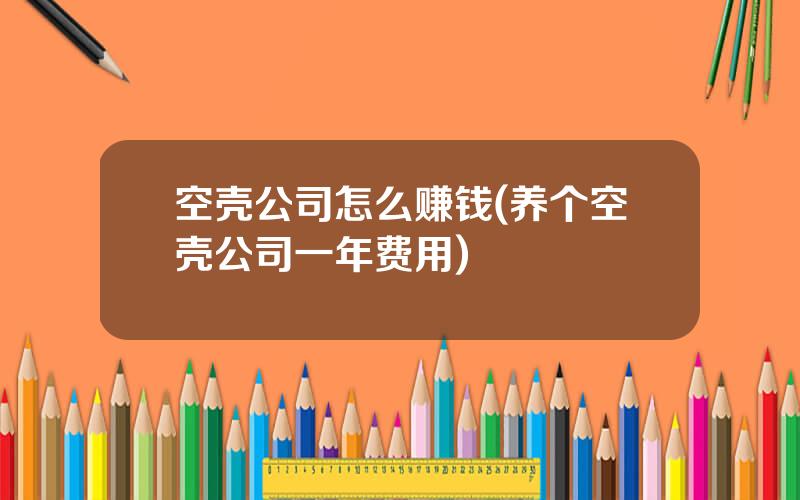 空壳公司怎么赚钱(养个空壳公司一年费用)