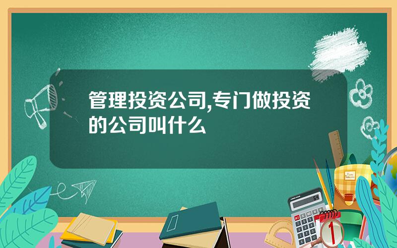 管理投资公司,专门做投资的公司叫什么