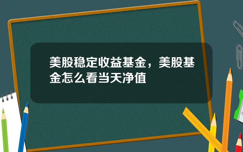 美股稳定收益基金，美股基金怎么看当天净值