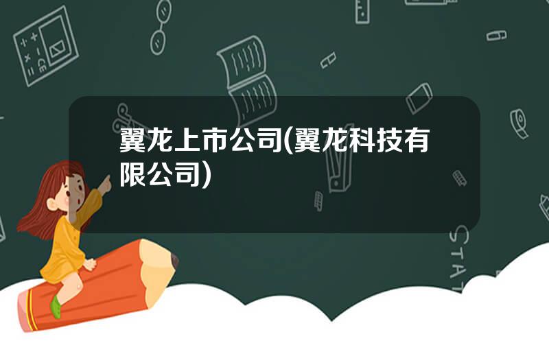 翼龙上市公司(翼龙科技有限公司)