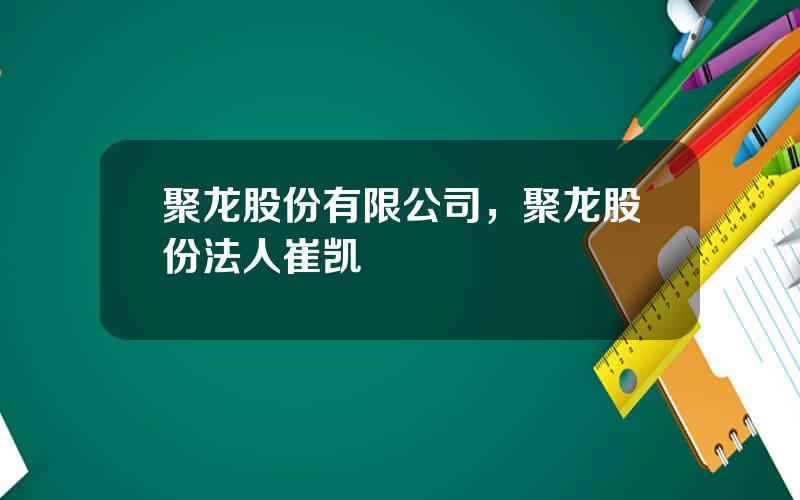 聚龙股份有限公司，聚龙股份法人崔凯