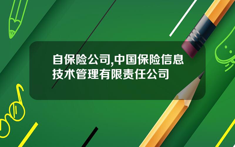 自保险公司,中国保险信息技术管理有限责任公司