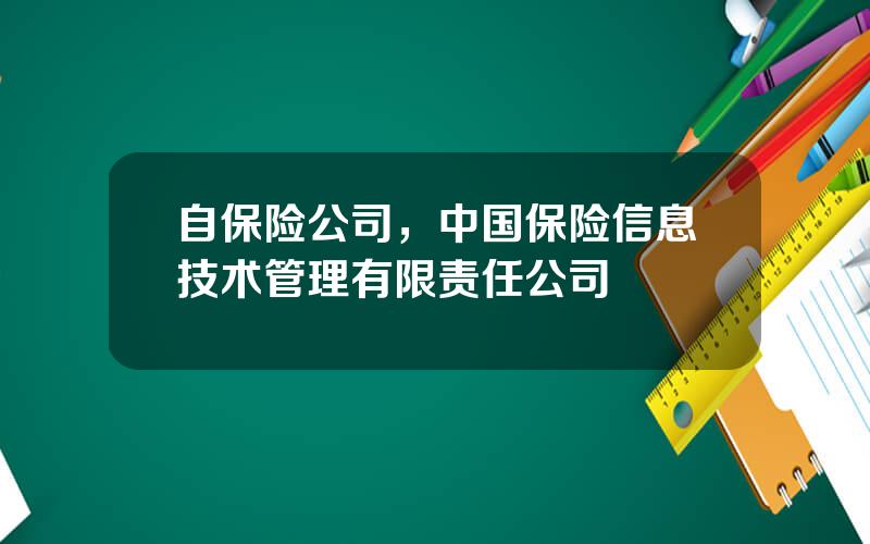 自保险公司，中国保险信息技术管理有限责任公司