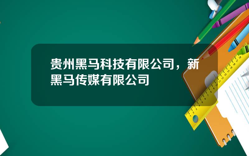 贵州黑马科技有限公司，新黑马传媒有限公司