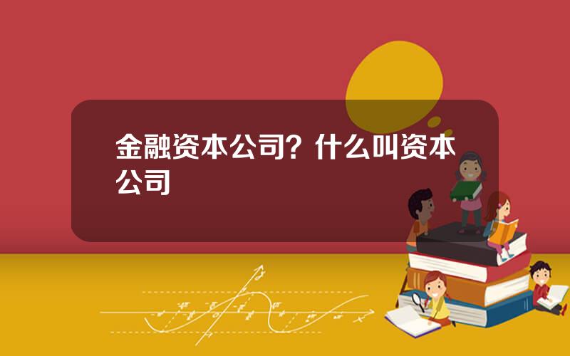 金融资本公司？什么叫资本公司