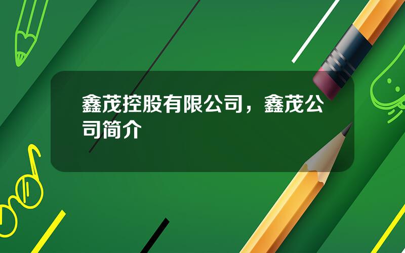 鑫茂控股有限公司，鑫茂公司简介