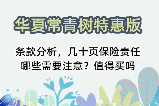 华夏常青树特惠版条款分析，几十页保险责任哪些需要注意？值得买吗